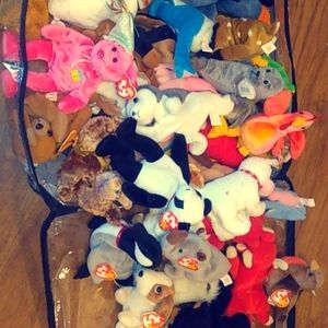 Collection of beanie babies